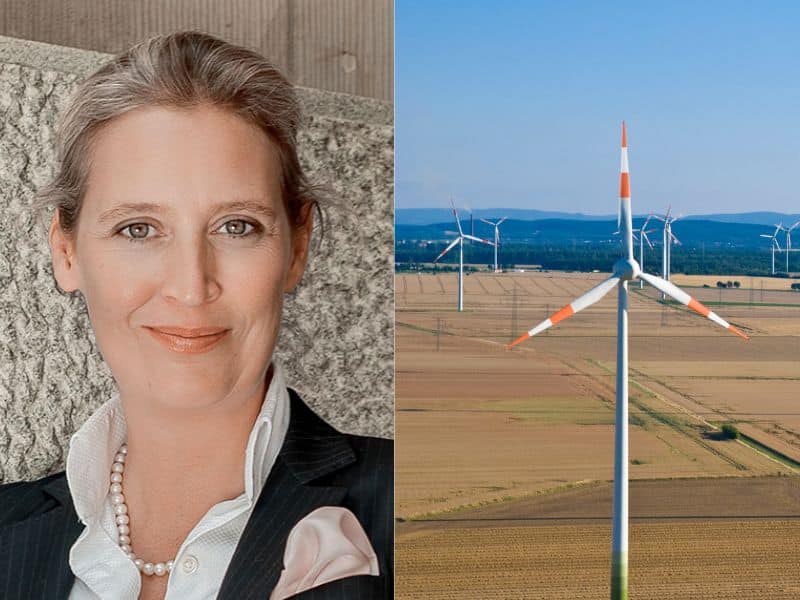 Alice Weidel gegen weiteren Windkraftausbau und Rückbau am Reinhardswald